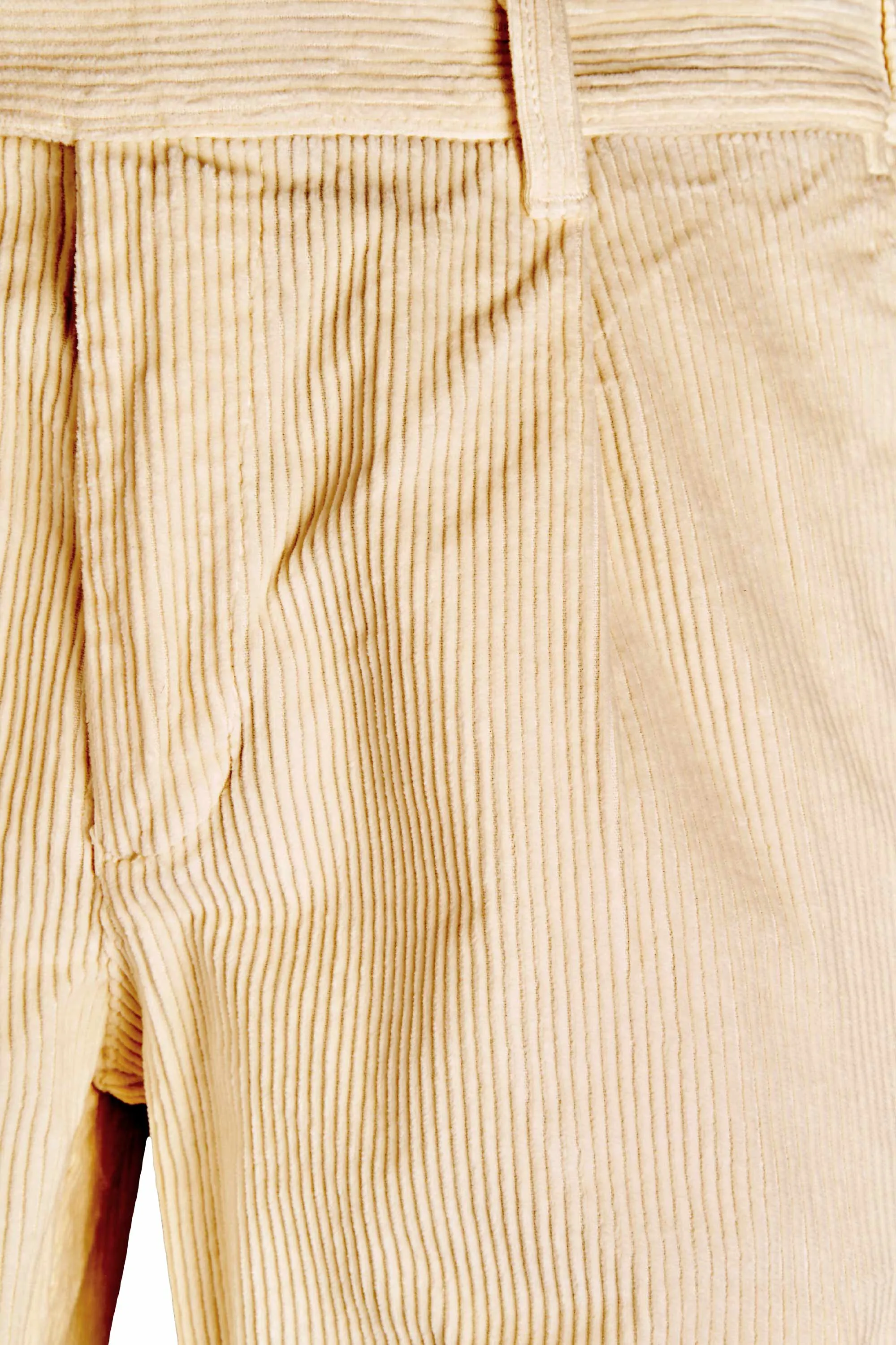 Pleated Corduroy Trousers